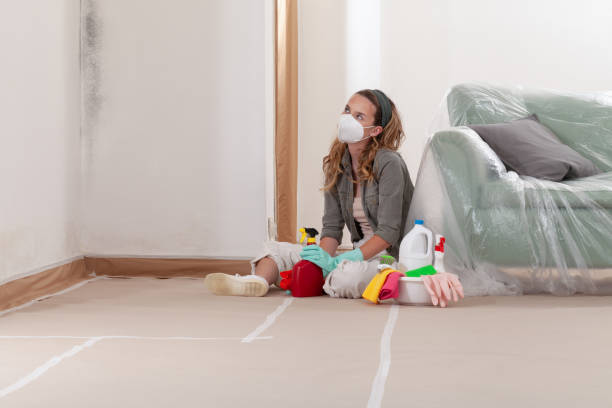 Reliable Black Mold Removal contractor in Grifton, NC by WQB Mold Removal